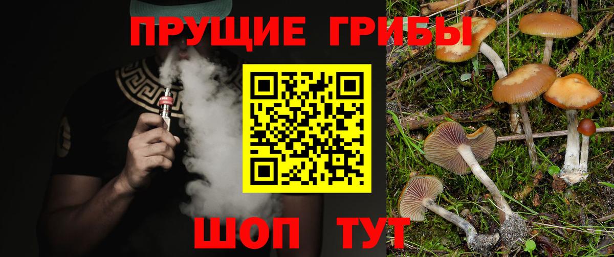 Галлюциногенные грибы GOLDEN TEACHER  Вход с VPN  продажа наркотиков  Бирск 